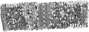 [CLISPEED] Women Stretchy Glitter Waist Belt for Dress Stylish Sequins Waistband with Strong Wrapping Ability Comfortable Elastic Day Wear for Various Styles