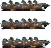 Avian X Topflight Wigeons, Rugged Realistic Floating Decoys, 18 Pack, Multicolor