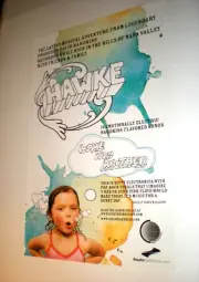 POSTER by HAWKE Gavin Hardkiss TECHNO House DJ love one another brother scott 1