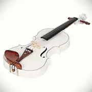 Gorgeous White Solid Wood Violin Package 4/4 Full Size with Case, Bow, Rosin