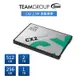 Team teamgroup 十銓 CX2 256G 256GB 2.5吋 SSD 固態硬碟