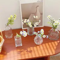 在飛比找ETMall東森購物網優惠-ins風北歐透明玻璃花瓶現代簡約水培插花花器桌面裝飾擺件軟裝