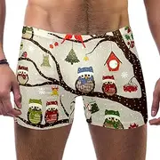 [VBFOFBV] Men's Printed Jammer Swimsuit Swim Shorts, Christmas Cartoon Bird Animal Owl