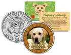 LABRADOR RETRIEVER Dog JFK Kennedy Half Dollar US Colorized Coin