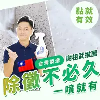 在飛比找蝦皮商城精選優惠-🔥免運🔥台灣製🇹🇼【謝祖武推薦 黴問題🔥】 除黴慕斯 除霉慕