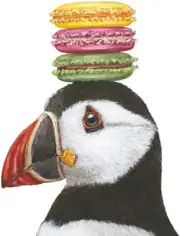 Paperproducts Design Luncheon Napkins, Olaf Puffin & Macaroons, 6.5", 20 count