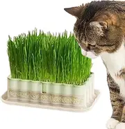 Mirpuytn Cat Grass Growing Pot | Hydroponic Sprouting Pot for Wheat Grass,Cat Grass Growing Containers for Balcony, Porch, Backyard