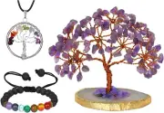 Feng Shui Artificial Bonsai Tree with Tree of Life Pendant & Chakra Bracelet