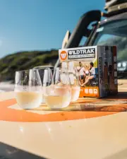 Wildtrak™ Stemless Wine Glasses, 4 Pack, Tritan Shatter-Proof Plastic, BPA