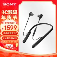 在飛比找京東台灣優惠-索尼（SONY）WI-1000XM2 頸掛式無線藍芽耳機 高