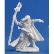Elquin - High Elf Adventurer (Dark Heaven Bones Blister)