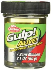 Berkley Gulp! Alive! Minnow Fishing Bait, Green Shiner, 1in, Extreme Scent