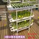 【美靈生活館】 送水泵定植籃等全套 食品級材料 家庭DIY立體管道式水培種菜機 無土栽培設備 陽臺水耕蔬菜多層種植花架