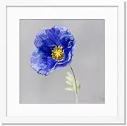 VNVNK 16x16 Frame White, Perfect for 16x16 Inch Picture without Mat or 12x12 Inch Picture with Mat, Home Wall Decor Picture Frame-1 PCS