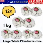 12KG Large White Plain Riverstone 100% Natural River Stone Pebble Decor Garden