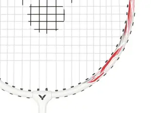 大自在 2組宅配免運費 Victor 勝利 羽球拍 突擊 TK-8110AL MD 對拍組 兩支裝 鋁合金 休閒拍