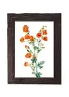 Vintage Botanical Print Red Floral Art Print 5x7 Scarlet Globe Mallow Flowers