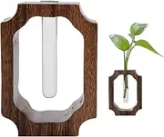 Test Tube Vase | Wood Frame Decorative Vase - Clear Glass Test Tube Flower Holder for Living Room Entryway Shelf Mantle Desk Decoration