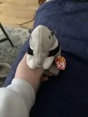 beanie baby,ants The Anteater *with Tag And In Mint Condition*