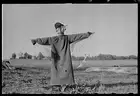 Photo:Scarecrow, North Carolina