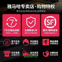 在飛比找Yahoo!奇摩拍賣優惠-精品YAMAHA雅馬哈電吉他音箱THR10 30II民謠吉他