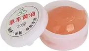 Bike Grease,Bike Chain Lube | Long-Lasting Lubricant Anti-Rust Bearing Butter for Lawn Mower Cables Window Mechanisms Gear Front Fork Door Hinges Garage Tools