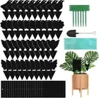 60 Pcs Sticky Dual-Sided Gnat Traps, Black Fruit Fly Sticky Traps and Plant Fung