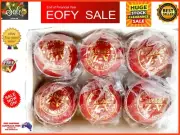 6 x 156 gm RED Premium Quality Match LEATHER 4 Part Turf Cricket Ball (6xBalls)