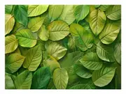 Green Leaves Canvas Print