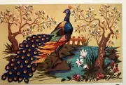 Printed needlepoint Tapestry 60x80 Cm Gobelin L Peacock Canvas Only