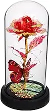Faux Rose Flower in Glass Dome with LED String Light Romantic Decor for Valentine Day Anniversary Birthday Compact Preserved Floral Ornament with Bright Color and Stable Base