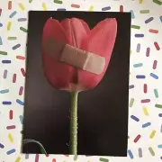 “Tulip” w/Band Aid Howard Bjornson 1983 “Get Well Soon” California Dreamers Card