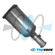 FAP DPF Peugeot 406, OE: 1731N7, 174003