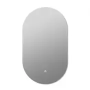 LED Wall Mirror Oval Anti-fog 60x100cm