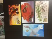 pnc coloured $2 coin bundle uncirculated carded coins unc remembrance poppy