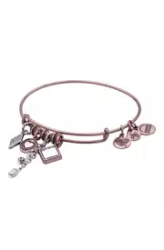 Alex and Ani Bangle Bracelet Z42