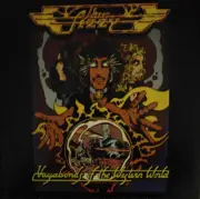 Thin Lizzy Vagabonds Of The Western World LP, RE, RM, Pur + LP, Comp, RM, Pur +