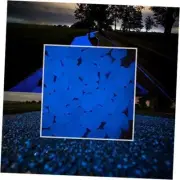300pcs Glow in The Dark Pebbles for Walkways Décor, Outside Bulk Glow in The