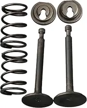 WQWQW Intake Inlet Exhaust Valve Spring Collet Retainer Set for Honda GX160 GX200 168F/170F 5.5 6.5HP Gas Engine Motor Generator Mower