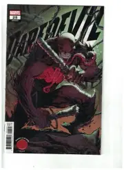 DAREDEVIL #25 ELEKTRA KNULLIFIED VARIANT BY MARVEL COMICS 2020