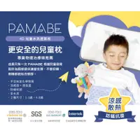 在飛比找蝦皮商城優惠-【PAMABE】 4D兒童水洗透氣枕 贈提袋 抑菌防蹣 涼感