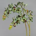 Real Touch Artificial Butterfly Orchid Flower Simulation Plant Wedding Home