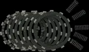 DP Brake DPSK Clutch Fiber Spring Kit for Suzuki Bandit 600 00-02