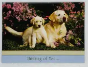 Get Well Card “Thinking Of You” Dog Mom And Puppy Yard Bush Resting Relax P3