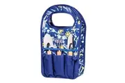 Ashdene Reflection Mini Gardening Kit Trowel Cultivator Planting Tool w Bag