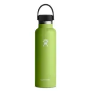 HYDRO FLASK 21 oz STANDARD MOUTH BOTTLE WITH FLEX CAP-SEAGRASS