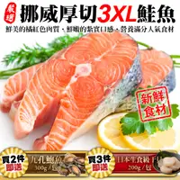 在飛比找PChome24h購物優惠-買2件送【海肉管家】挪威肥嫩厚切3XL鮭魚(10片_420g