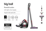 Dyson Big Ball vacuum