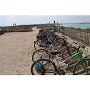 Save 15.01%! Ibiza Formentera Bike Tour with Transfer and Fast Ferry