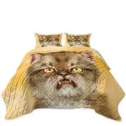 Cool Cat Art Angry Furious Kitten Coverlet